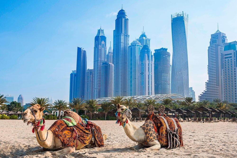 Al Habtoor Grand Resort, Autograph Collection®