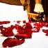 Red House Vip — 8