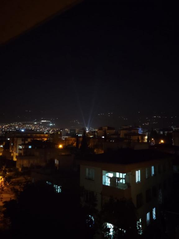 Çam Suit — 4