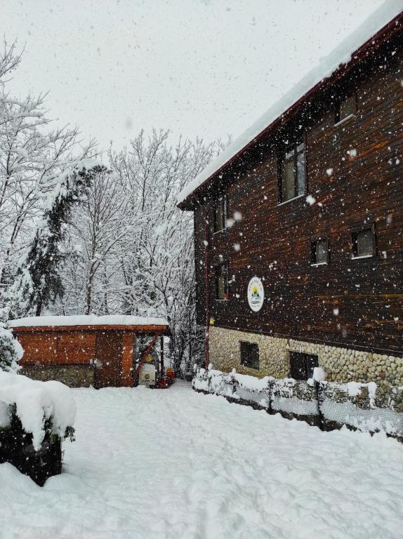 Küre Dağ Evi — 4