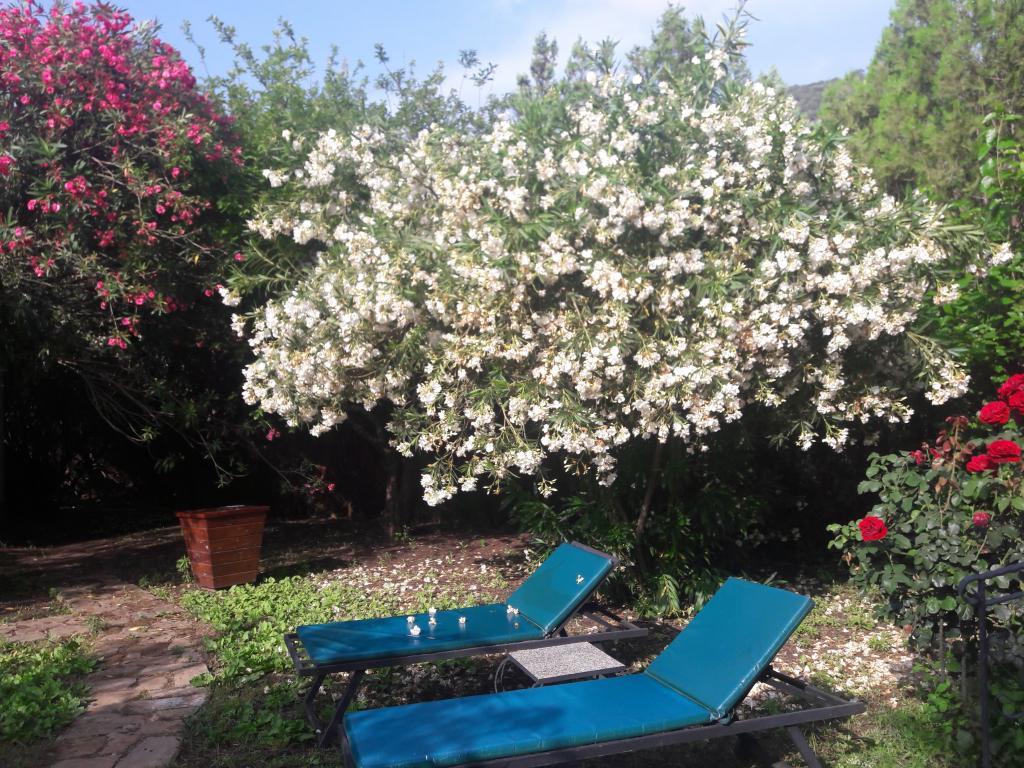 Hemerans Anatolia — 9