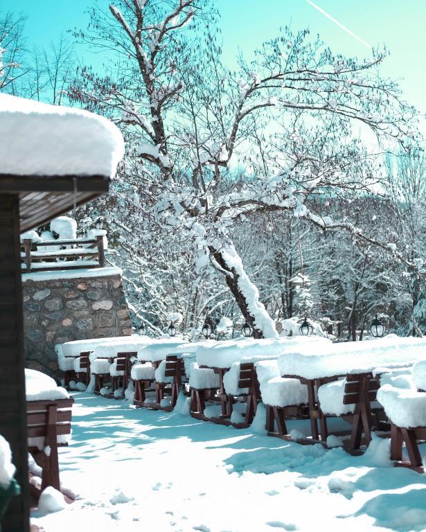 Abant Şömine's Otel — 9