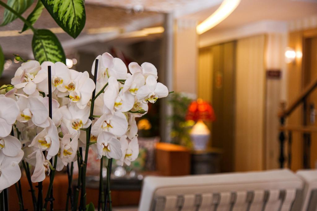 Almina Hotel — 7