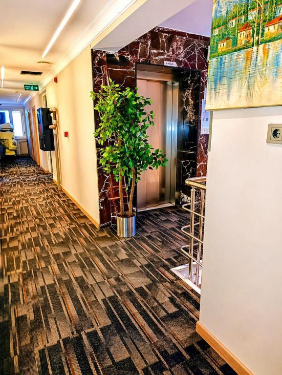 Ardos Park Hotel — 7