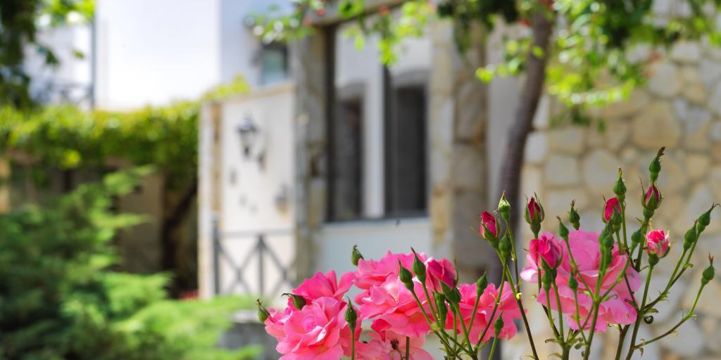 Çapraz Tatil Köyü — 10