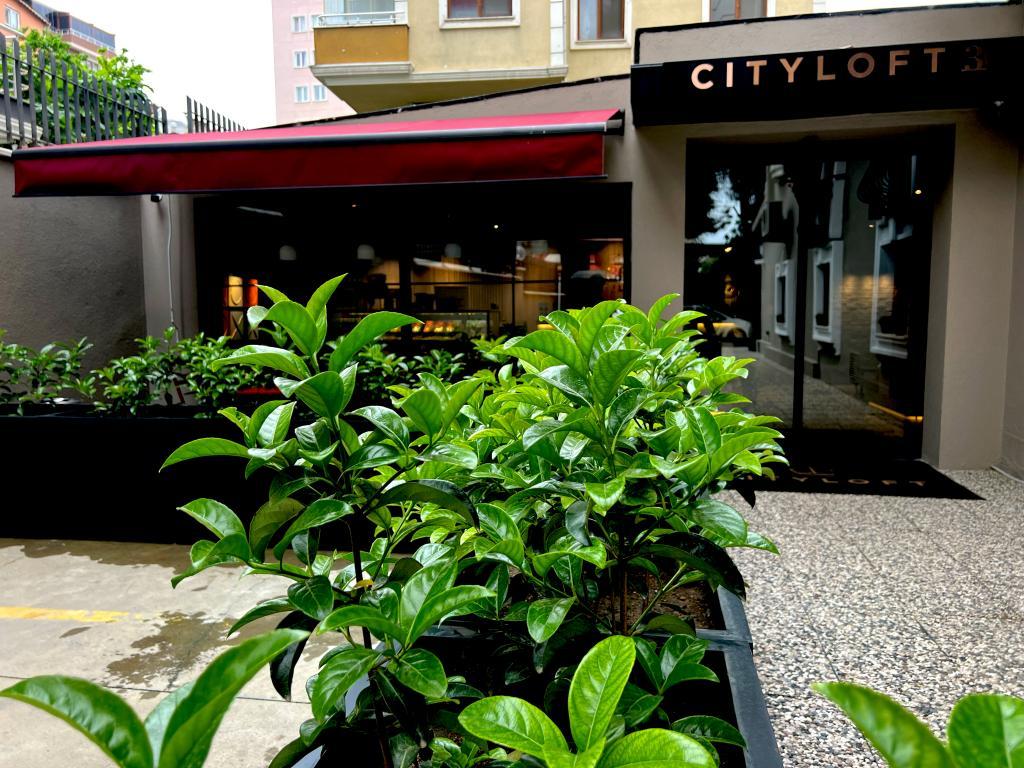 Cityloft 36 — 7