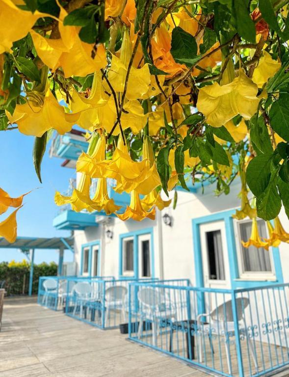 Enjoy Pansiyon