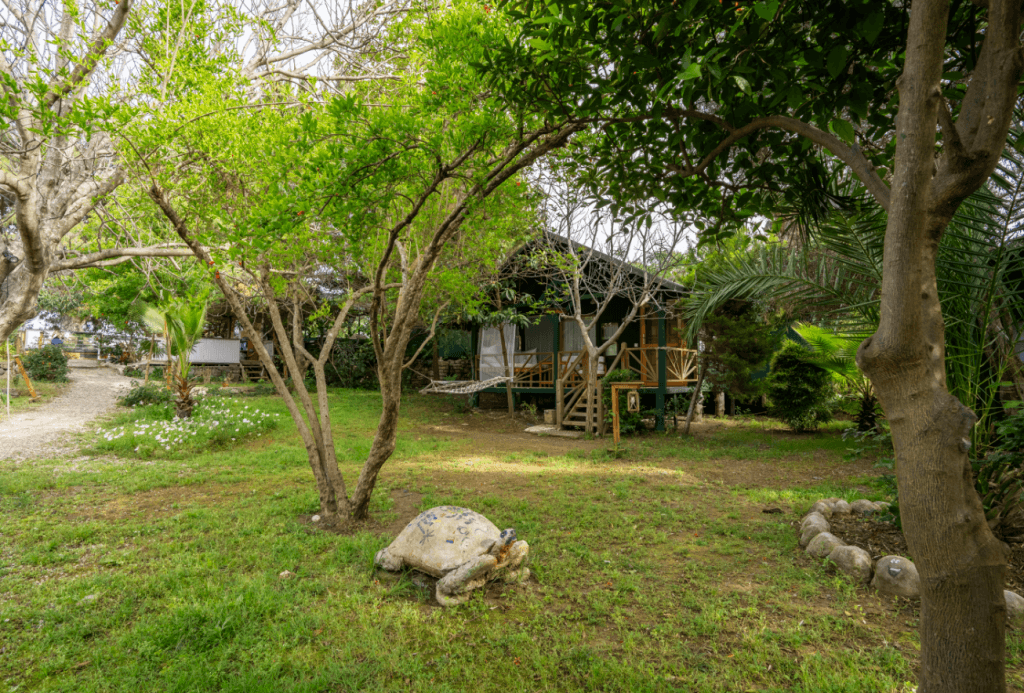Etenna Beach Bungalow — 2