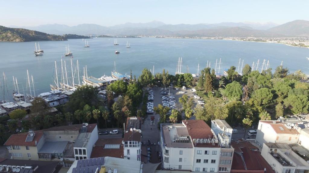 Feryıl Liman — 1