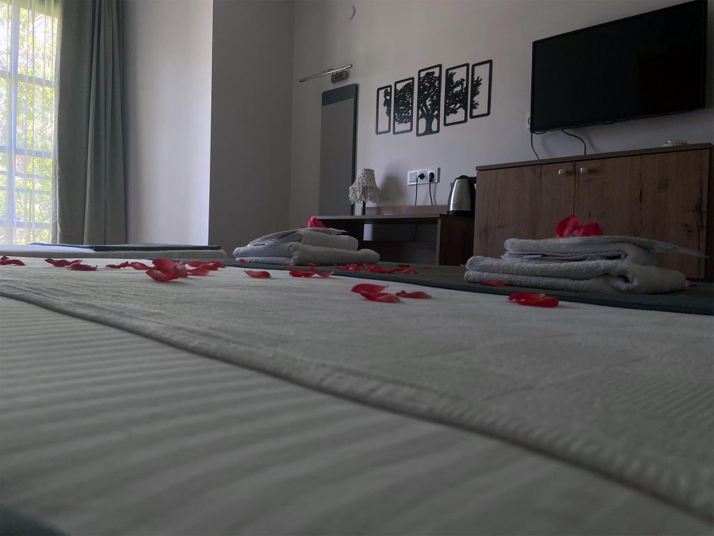 Hotel Palme Dalyan — 9