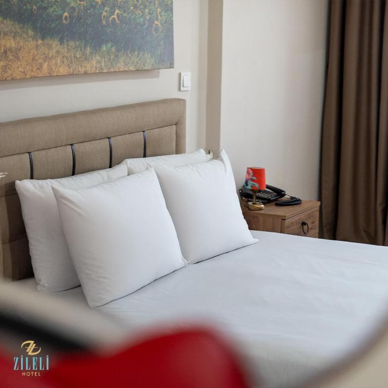 Hotel Zileli — 2