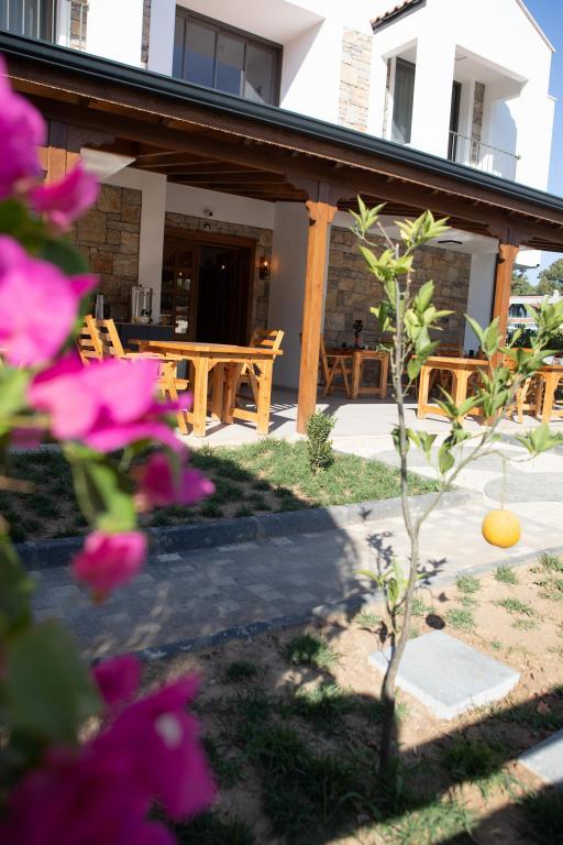 Kilya Datça — 6