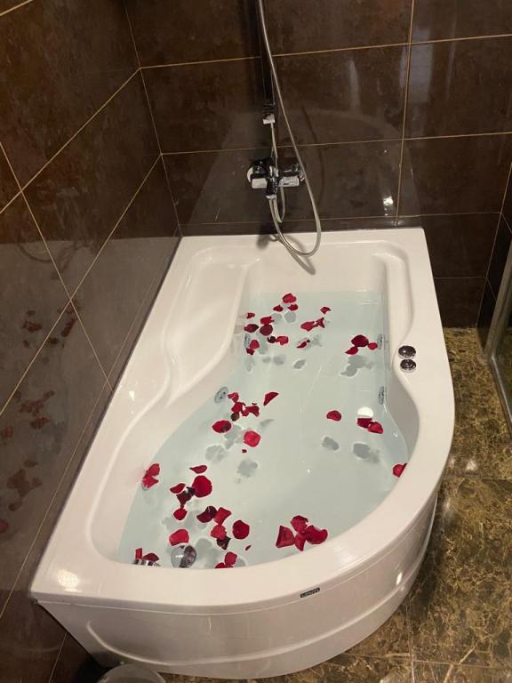Kanyonvadi Hotel — 9