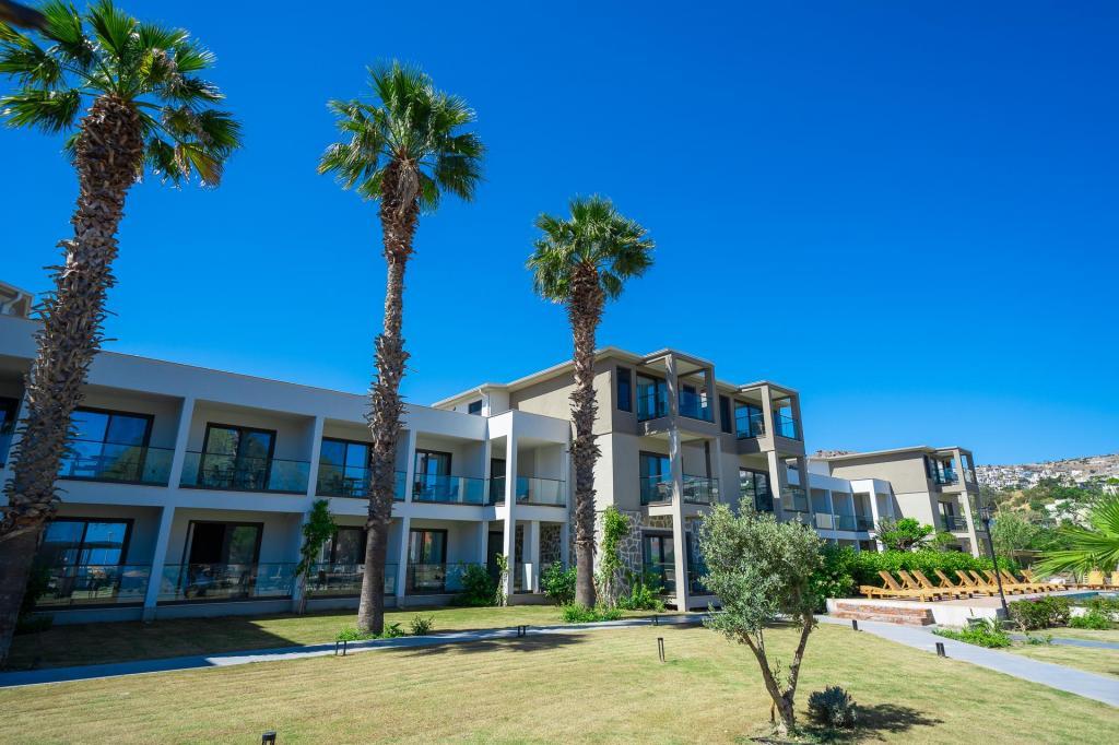 Mare Alba — 4
