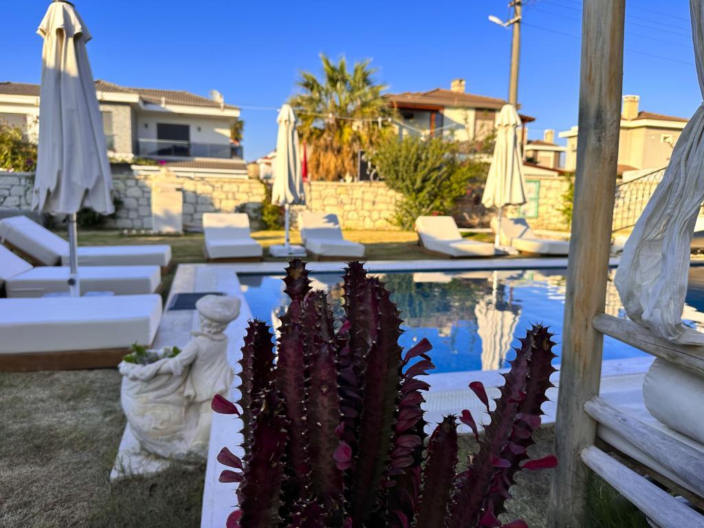 Mea Alaçatı — 7