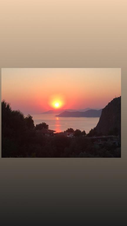 Montenegro Motel — 4