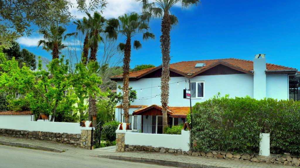 Native Hotel — 6