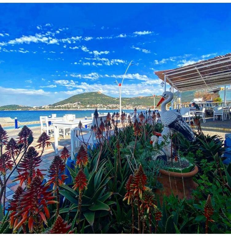 Naz Hotel Yeni Foça — 3