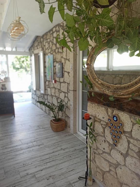 Nidus Alaçatı — 2