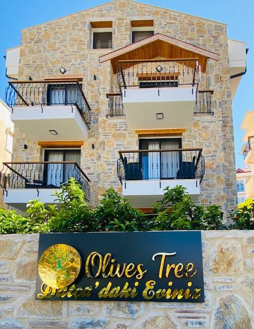 Datça Olives Tree — 1