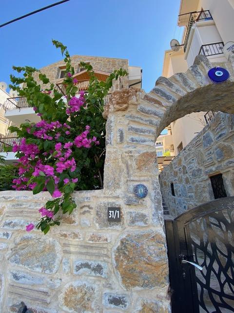 Datça Olives Tree — 3