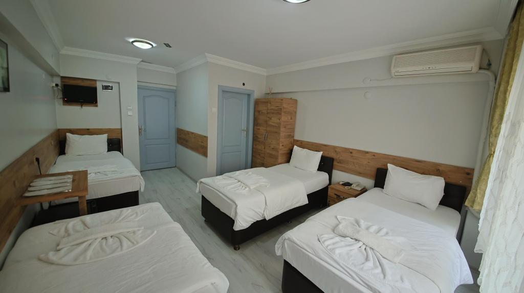 Otel Altay — 4