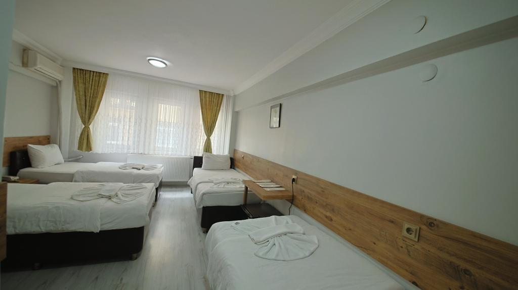 Otel Altay — 6