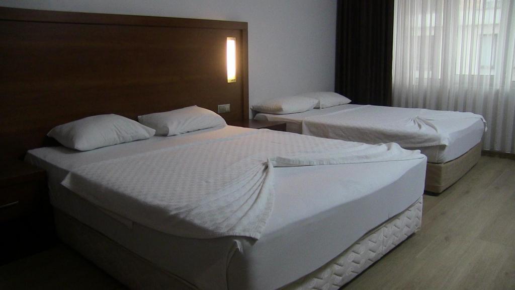 Otel Paluri — 9