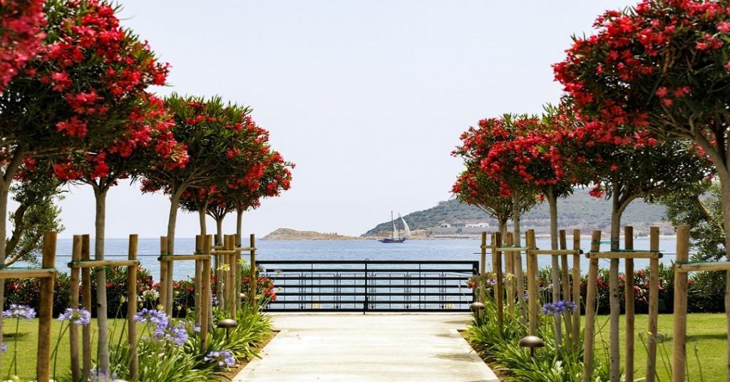 Palaia Hotel Datça Adult Only — 5