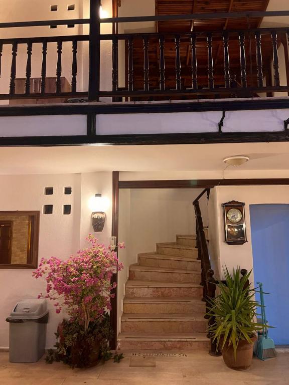 Palma Rosa Hotel — 3