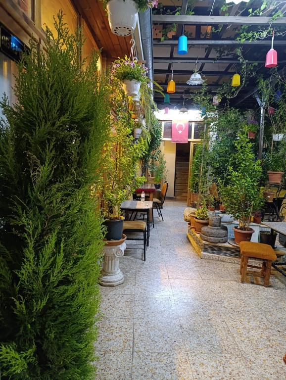Rukiye Hanım Konağı — 10
