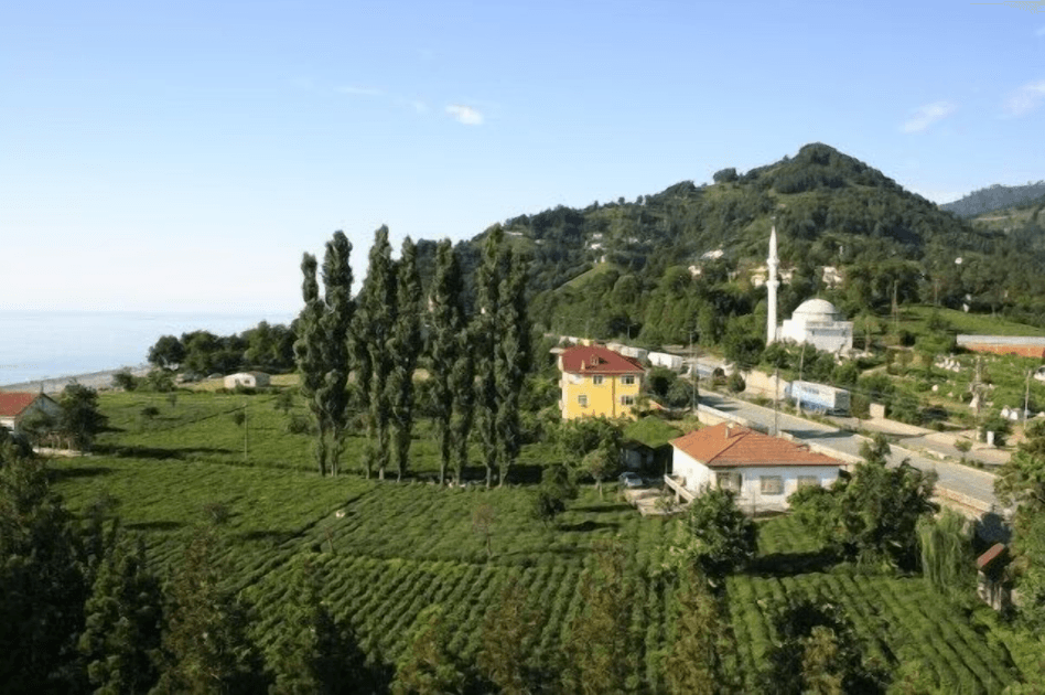 Sarp Otel — 10