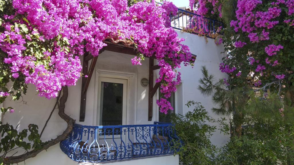 Serhan Hotel — 9