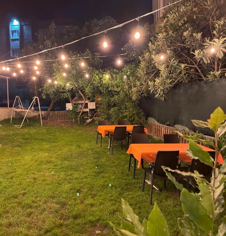 Tayfun Hotel — 6