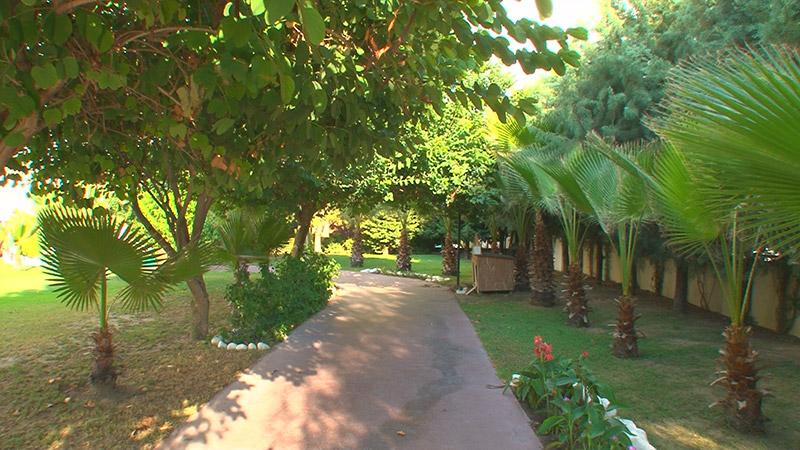 Side Breeze Hotel — 10