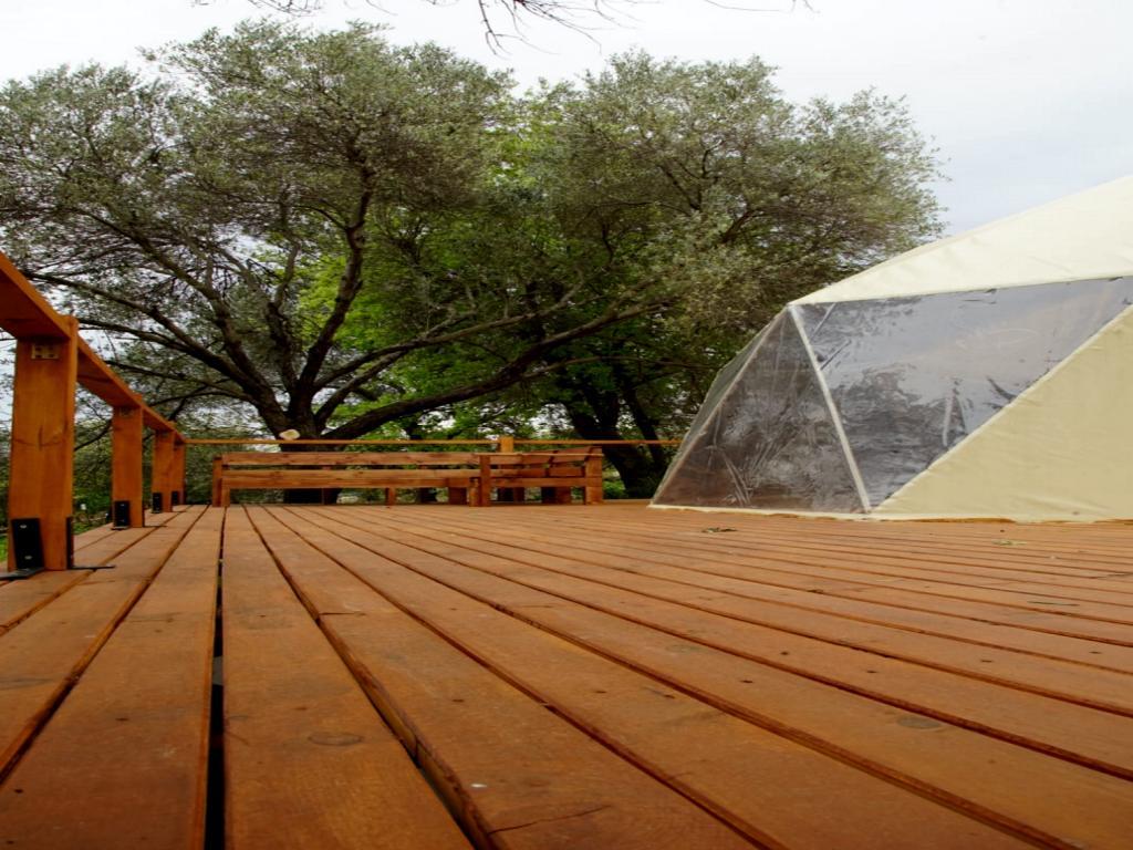 Teos Glamping Sığacık — 6