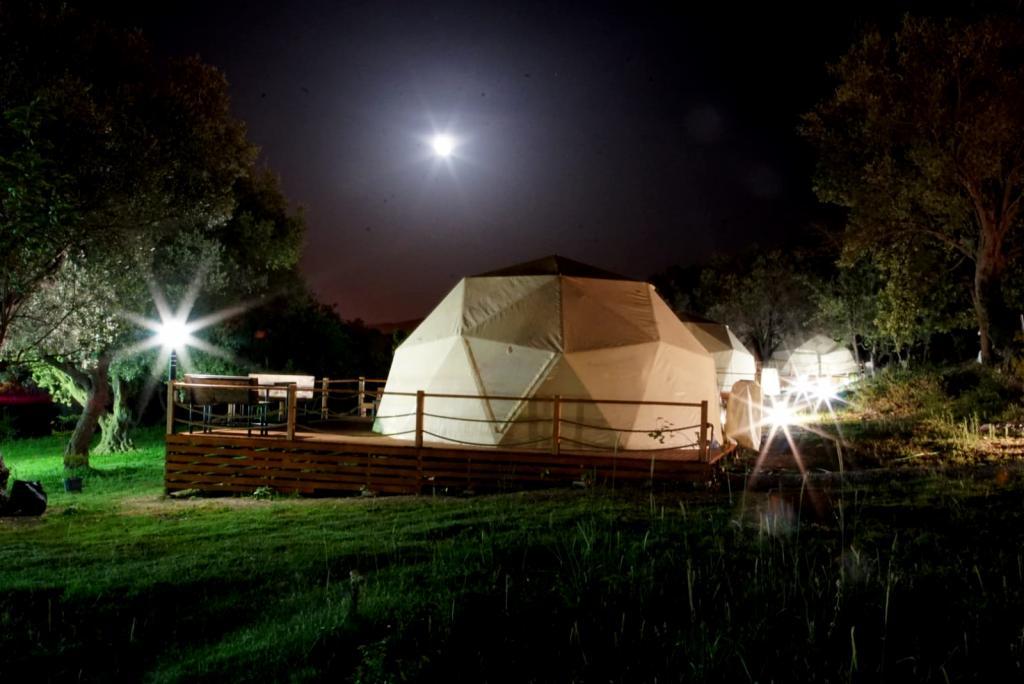 Teos Glamping Sığacık — 3