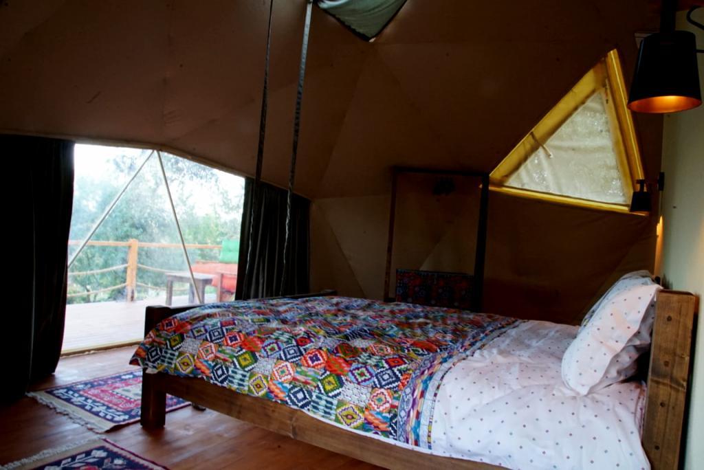 Teos Glamping Sığacık — 8