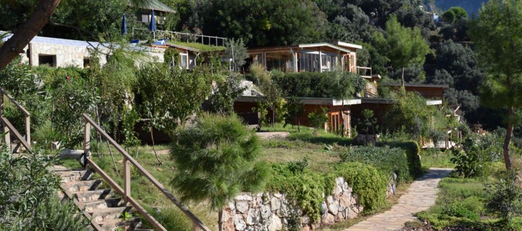Avalon Bungalows — 7