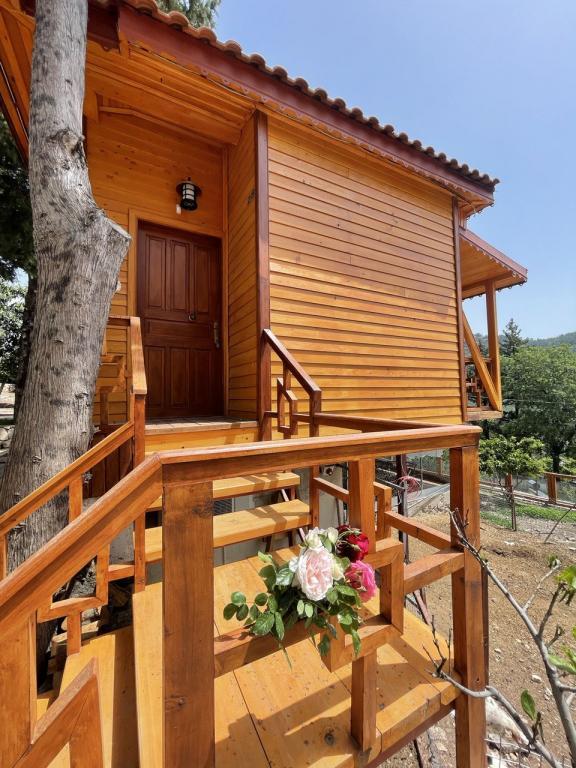 Trinitys Forest Bungalows — 10