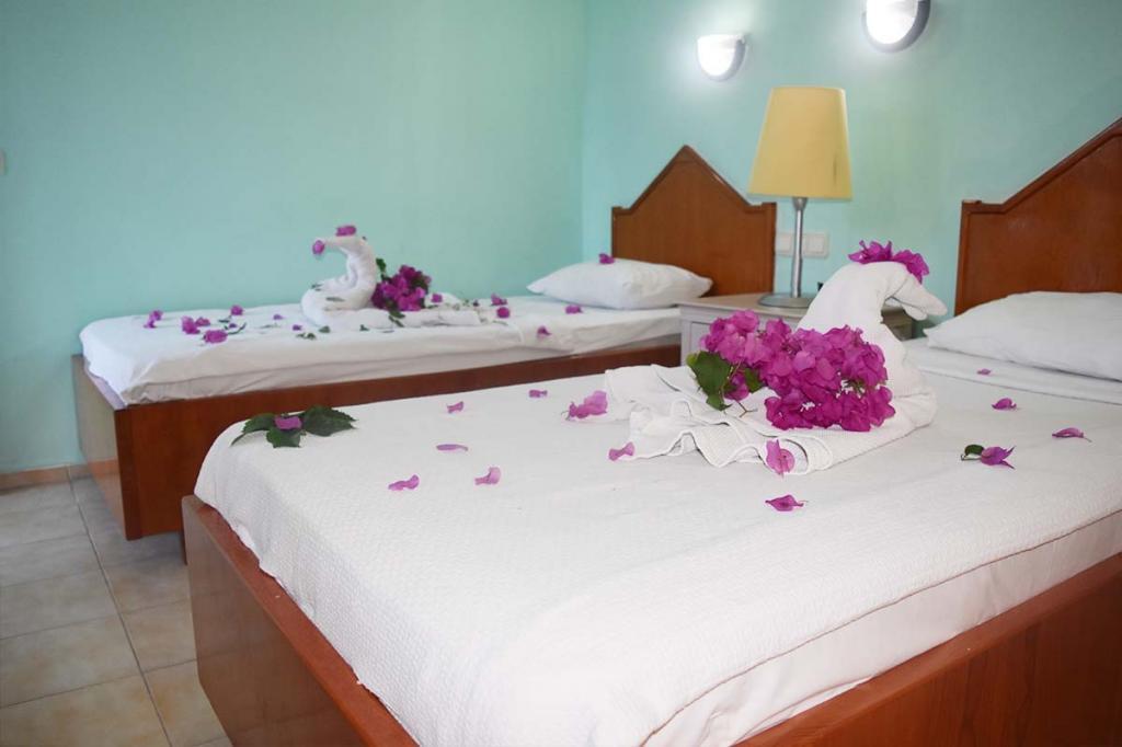 Ares City Hotel — 7