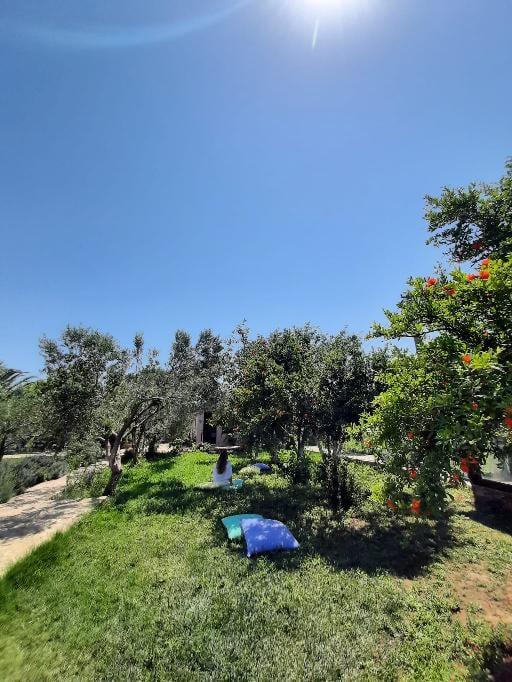 Irmak Bağ Evi — 4
