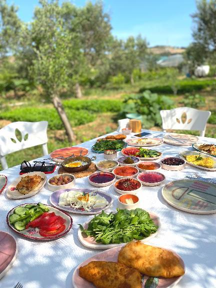 Irmak Bağ Evi — 7