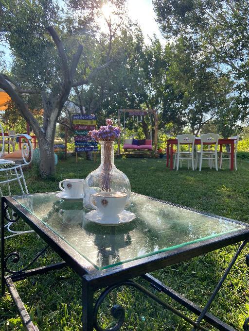 Irmak Bağ Evi — 6