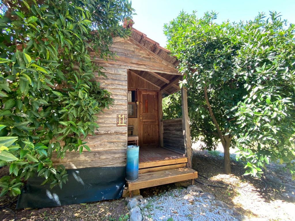 Maya Olympos — 5