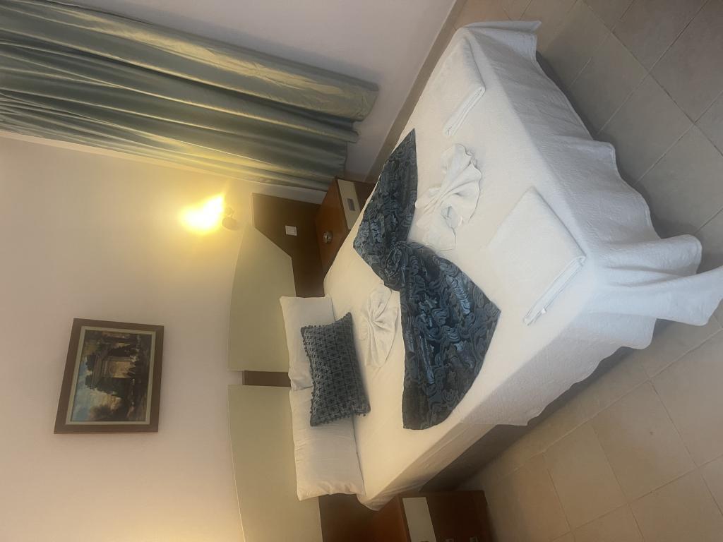 Hamir Hotel — 8