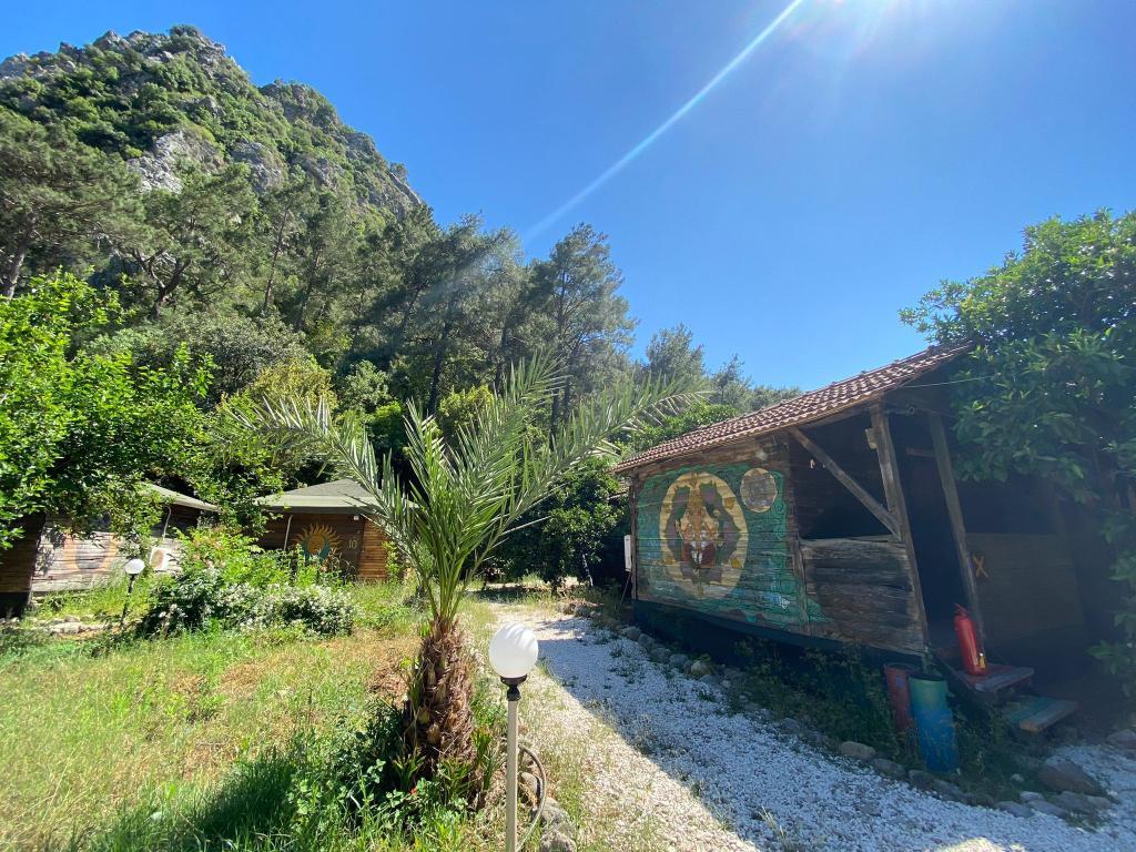 Maya Olympos — 7