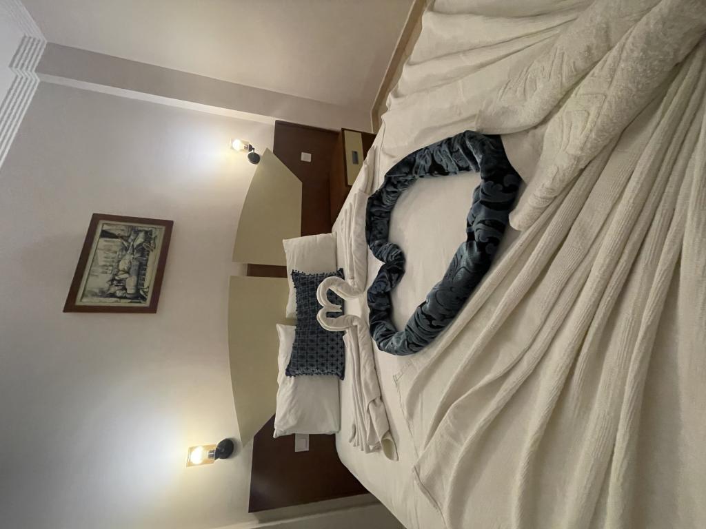 Hamir Hotel — 9