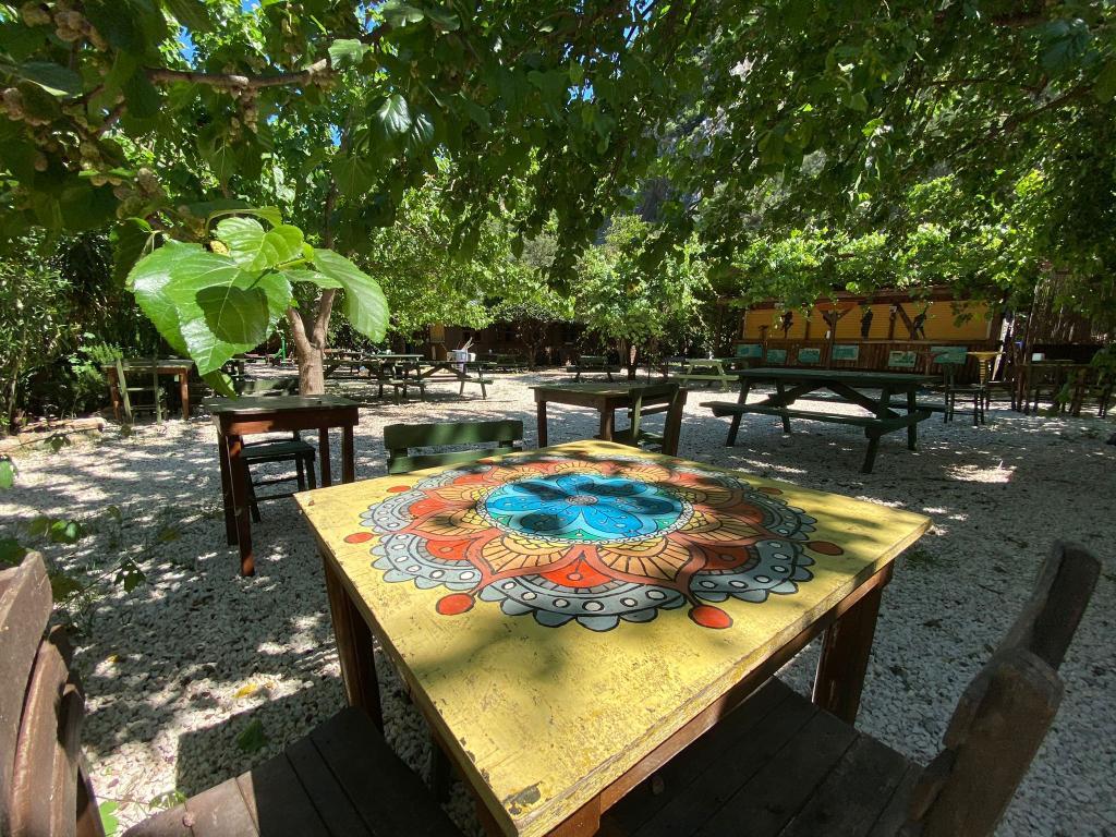 Maya Olympos — 8