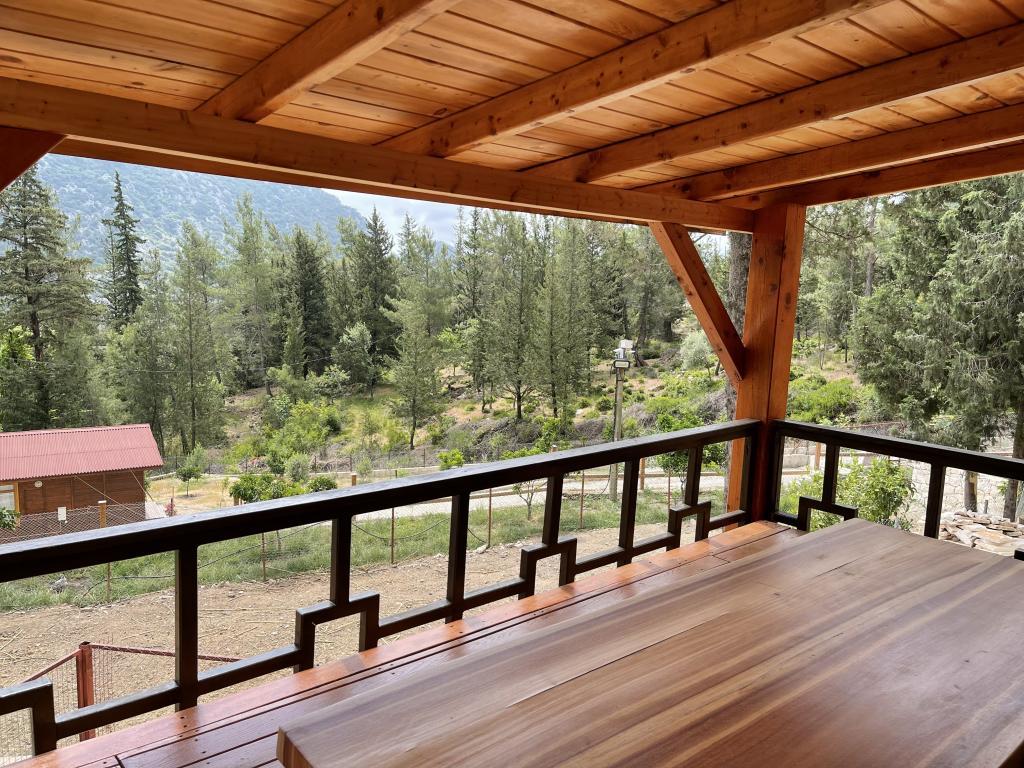 Trinitys Forest Bungalows — 5